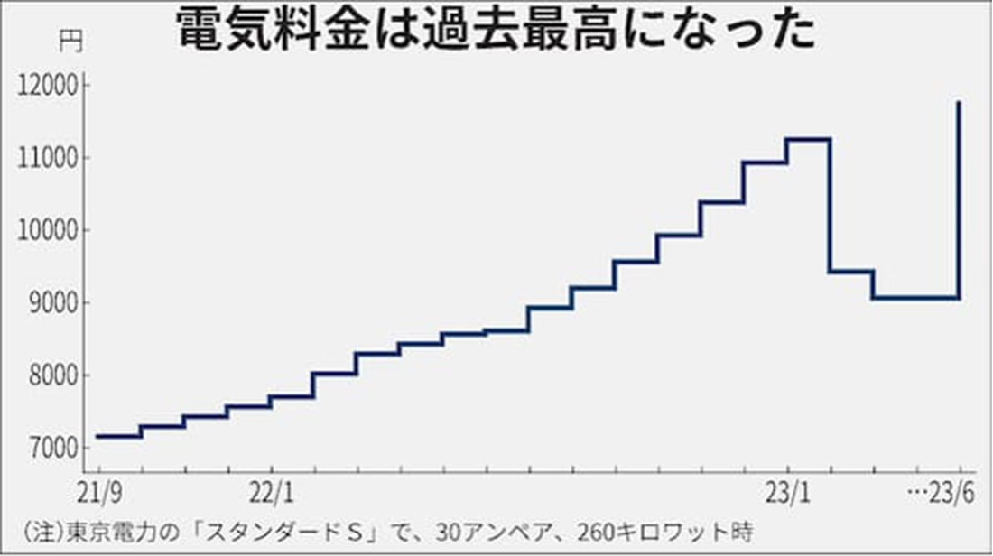 東京電力ホールディングス参照